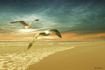 Soft Sunrise on the Beach 6 | Obraz na stenu