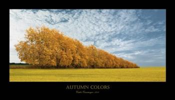 Autumn Colors 1 | Obraz na stenu