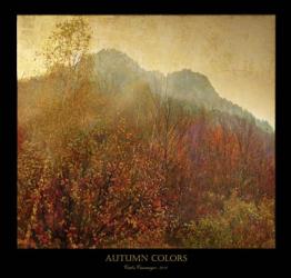 Autumn Colors 2 | Obraz na stenu