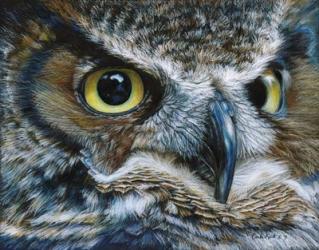Dark Owl | Obraz na stenu