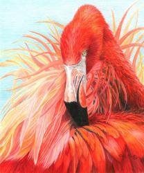 Red Flamingo | Obraz na stenu