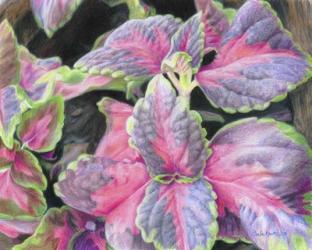 Purple Flowering Plant | Obraz na stenu