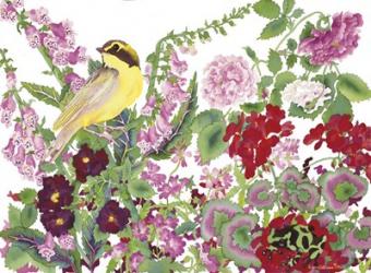 Warbler With Frog | Obraz na stenu