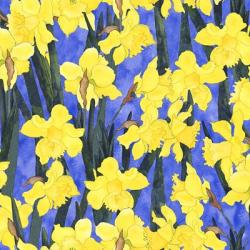 Fertile Rising - Daffodils | Obraz na stenu