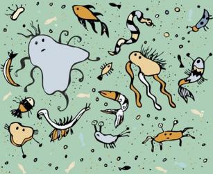 Undersea Creatures | Obraz na stenu