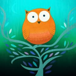 Night Owl | Obraz na stenu