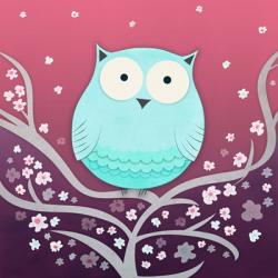 Spring Owl | Obraz na stenu