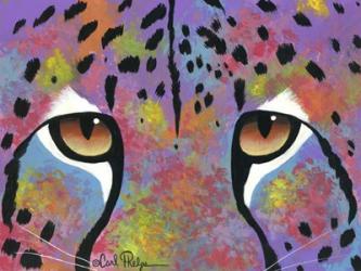 Cheetah Eyes | Obraz na stenu