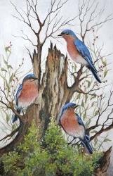 A Bluebird Morning | Obraz na stenu