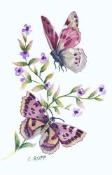 Butterfly in Lilac | Obraz na stenu
