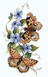 Butterfly on Blue | Obraz na stenu