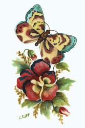 Butterfly on Red Pansey | Obraz na stenu