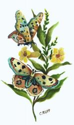 Butterfly on Yellow Floral | Obraz na stenu