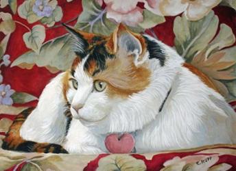 Callie the Calico Cat | Obraz na stenu
