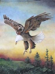 Dawn Flight | Obraz na stenu