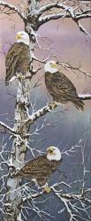 Eagle Trio at Dawn | Obraz na stenu