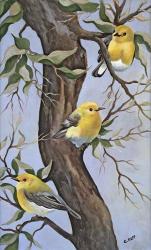 Little Yellow Birds | Obraz na stenu