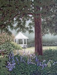 The View From The Porch | Obraz na stenu