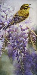 Yellow Bird in Wisteria | Obraz na stenu