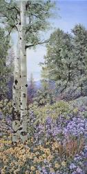 Aspen with Asters | Obraz na stenu