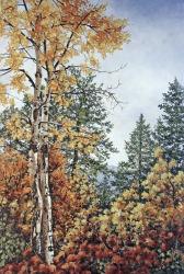 Autumn Splendor | Obraz na stenu