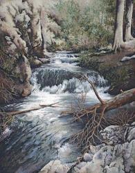 Clear Creek | Obraz na stenu
