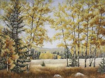 Fall Meadow | Obraz na stenu