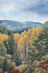 The Colors of Fall | Obraz na stenu