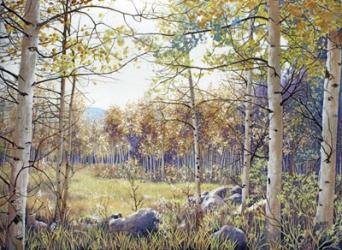 Valley of the Utes Autumn | Obraz na stenu