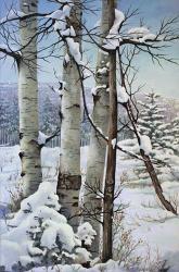 Winter Snow with Aspen | Obraz na stenu