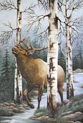 Majestic Elk | Obraz na stenu