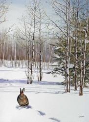 Winter Rabbit | Obraz na stenu