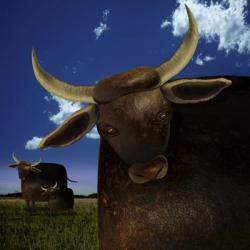 Year of the Ox | Obraz na stenu