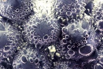 Bubbling Blueberries | Obraz na stenu