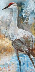 Sandhill Cranes I | Obraz na stenu