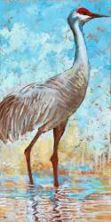 Sandhill Cranes II | Obraz na stenu