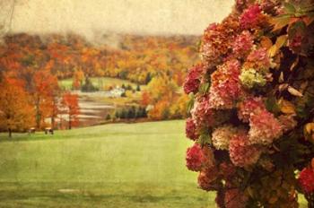 Autumn Colors | Obraz na stenu