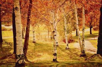 Autumn Woods | Obraz na stenu