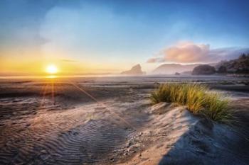 Dunes On The Pacific Coastline | Obraz na stenu