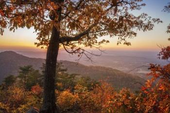 Smoky Overlook | Obraz na stenu