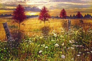 Sunset Shadows | Obraz na stenu