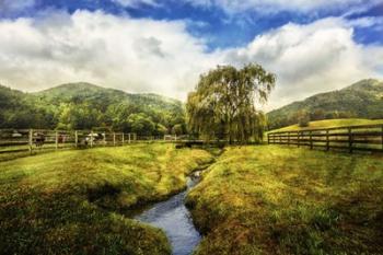 Willow in Early Autumn | Obraz na stenu