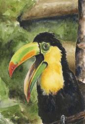 Toucan Bill | Obraz na stenu