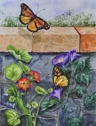 Monarchs, Nasturtiums and Morning Glories | Obraz na stenu