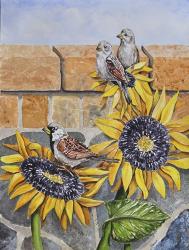 House Sparows with Sunflowers | Obraz na stenu