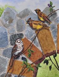 Song Sparrow and Cedar Waxwings | Obraz na stenu