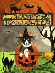 Happy Dog Pumpkin Halloween | Obraz na stenu