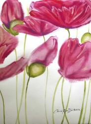 Pink Poppies | Obraz na stenu