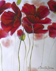Red Poppies on White | Obraz na stenu