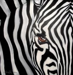 Zebra Face | Obraz na stenu